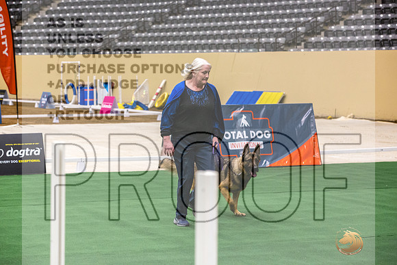 German Shepherd Dog #109 Thurs-JJL_1390_UKCTDI2023-HR3