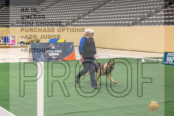 German Shepherd Dog #109 Thurs-JJL_1391_UKCTDI2023-HR3