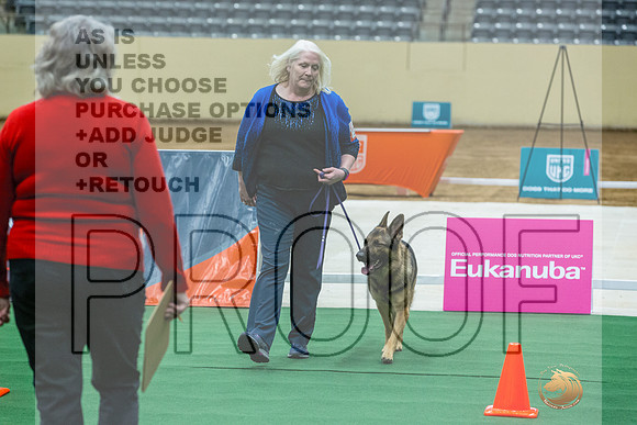 German Shepherd Dog #109 Thurs-JJL_1398_UKCTDI2023-HR3