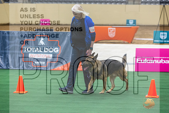 German Shepherd Dog #109 Thurs-JJL_1402_UKCTDI2023-HR3