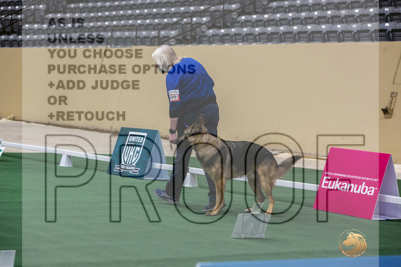 German Shepherd Dog #109 Thurs 3-JJL_6151_UKCTDI2023-HR3