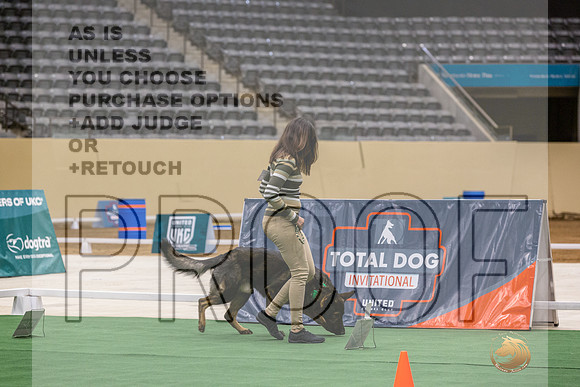 German Shepherd Dog #112 Thurs 3-JJL_6255_UKCTDI2023-HR3
