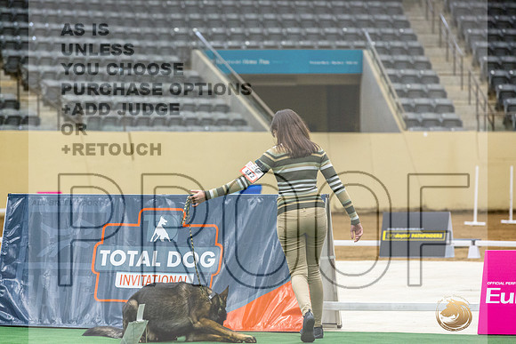 German Shepherd Dog #112 Thurs 3-JJL_6258_UKCTDI2023-HR3