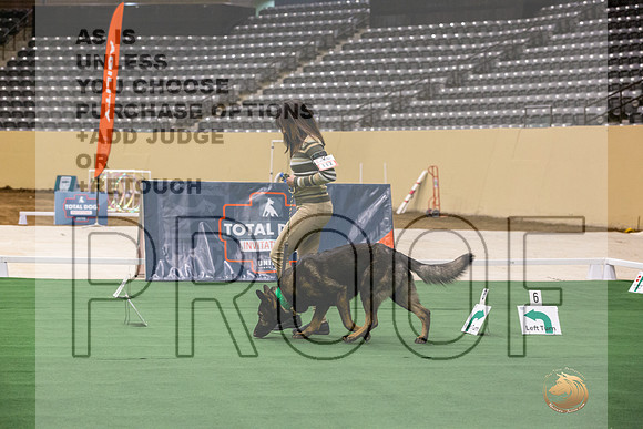 German Shepherd Dog #112 Thurs 3-JJL_6272_UKCTDI2023-HR3