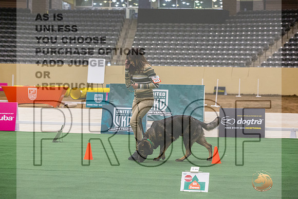 German Shepherd Dog #112 Thurs 3-JJL_6275_UKCTDI2023-HR3