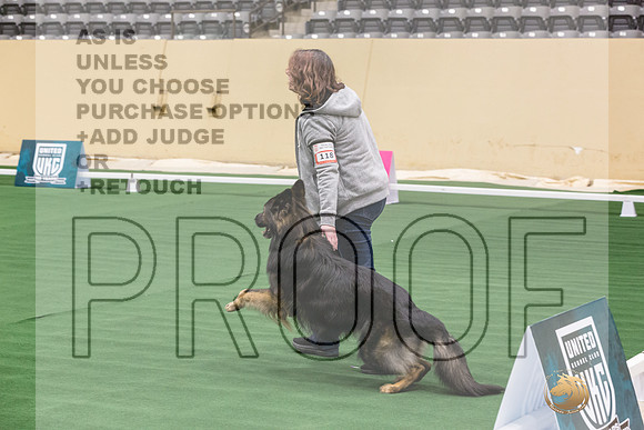 German Shepherd Dog #118 Thurs-JJL_2173_UKCTDI2023-HR3
