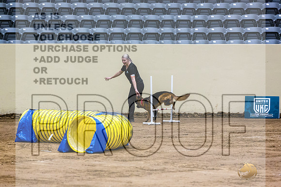 German Shepherd Dog #121 Fri 1-JJL_7273_UKCTDI2023-HR3