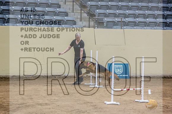 German Shepherd Dog #121 Fri 1-JJL_7275_UKCTDI2023-HR3