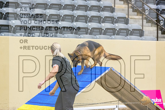 German Shepherd Dog #121 Fri 1-JJL_7278_UKCTDI2023-HR3