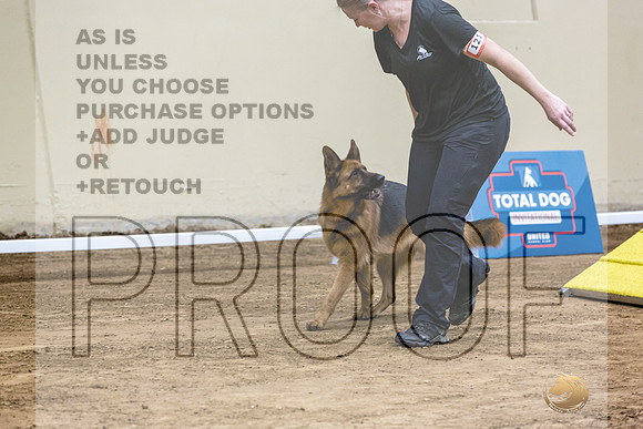German Shepherd Dog #121 Fri 1-JJL_7280_UKCTDI2023-HR3