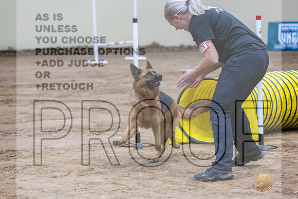 German Shepherd Dog #121 Fri 1-JJL_7283_UKCTDI2023-HR3