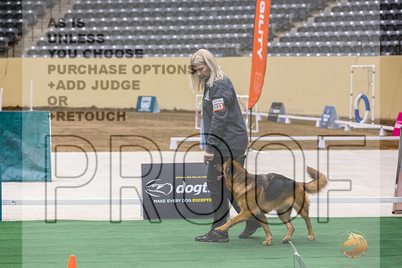 German Shepherd Dog #121 Thurs 2-JJL_5277_UKCTDI2023-HR3