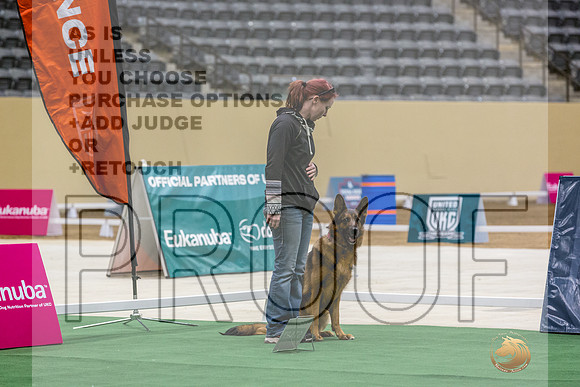 German Shepherd Dog #160 Thurs 2-JJL_5123_UKCTDI2023-HR3