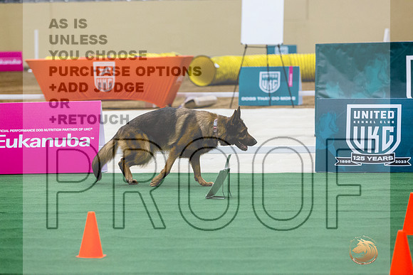 German Shepherd Dog #160 Thurs 2-JJL_5128_UKCTDI2023-HR3