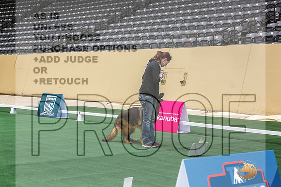 German Shepherd Dog #160 Thurs 2-JJL_5138_UKCTDI2023-HR3