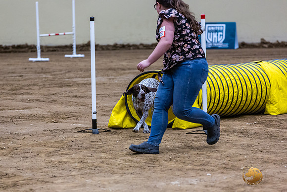 German Shorthaired Pointer #166 Fri 1-JJL_7325_UKCTDI2023-HR3
