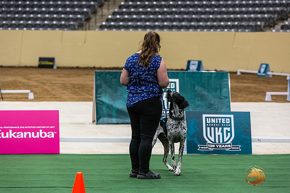 German Shorthaired Pointer #167 Thurs-JJL_1825_UKCTDI2023-HR3