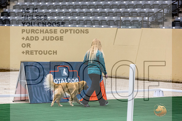 Golden Retriever #101 Thurs 2-JJL_2856_UKCTDI2023-HR3