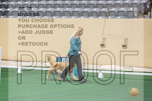 Golden Retriever #101 Thurs 2-JJL_2860_UKCTDI2023-HR3