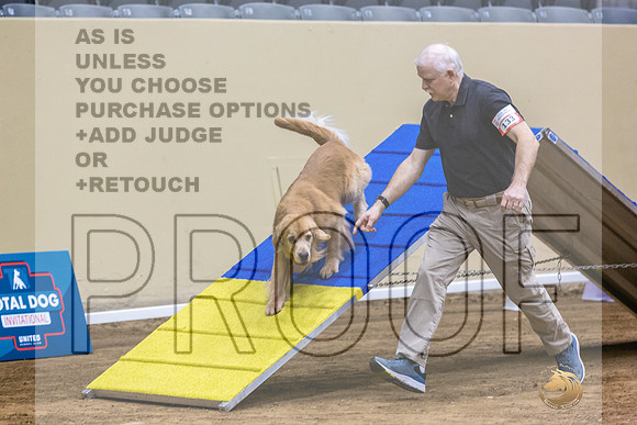 Golden Retriever #133 Fri 1-JJL_6899_UKCTDI2023-HR3