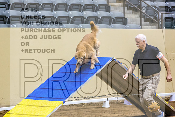 Golden Retriever #133 Fri 1-JJL_6898_UKCTDI2023-HR3