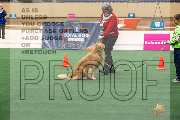 Golden Retriever #139 Thurs-JJL_1575_UKCTDI2023-HR3