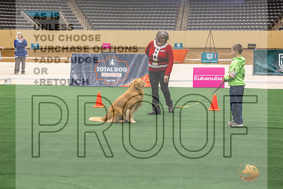 Golden Retriever #139 Thurs-JJL_1576_UKCTDI2023-HR3