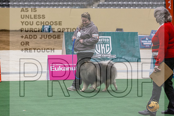 Keeshond #168 Thurs-JJL_2462_UKCTDI2023-HR3