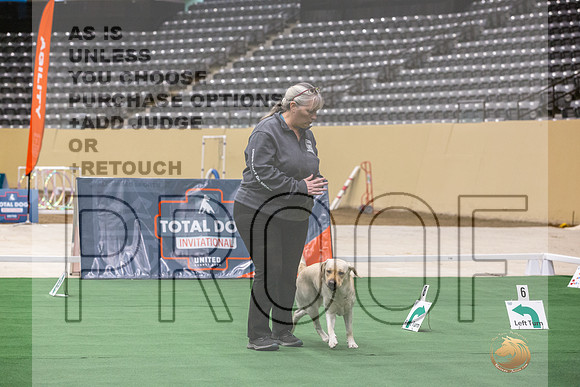 Labrador Retriever #150 Thurs 3-JJL_5630_UKCTDI2023-HR3