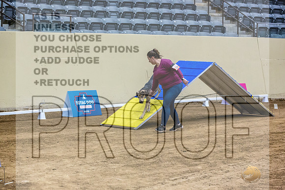 Louisiana Catahoula Leopard Dog #136 Fri 1-JJL_7012_UKCTDI2023-HR3