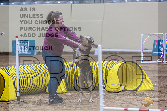 Louisiana Catahoula Leopard Dog #136 Fri 1-JJL_7015_UKCTDI2023-HR3