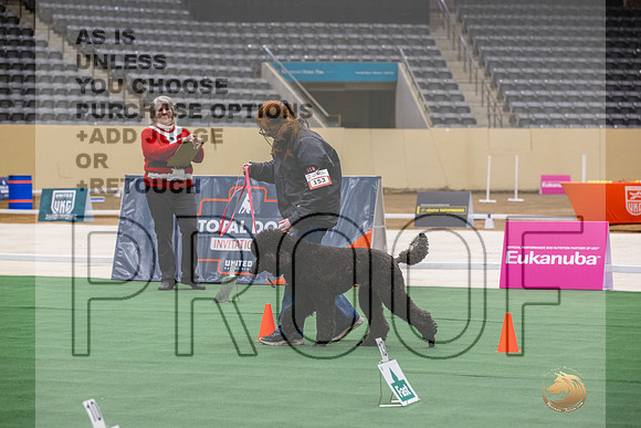Poodle Std #153 Thurs 2-JJL_6507_UKCTDI2023-HR3