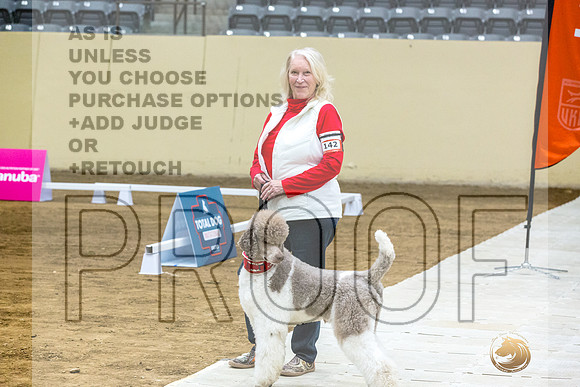 Poodle Std MC #142 Fri 1-JJL_7329_UKCTDI2023-HR3