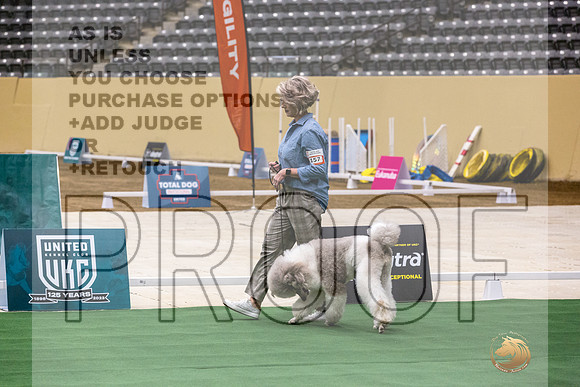 Poodle Std MC #157 Thurs-JJL_1716_UKCTDI2023-HR3