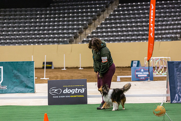 Shetland Sheepdog #122 Thurs 3-JJL_6440_UKCTDI2023-HR3