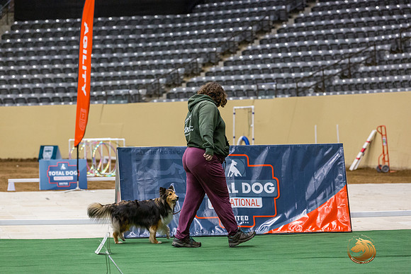 Shetland Sheepdog #122 Thurs 3-JJL_6442_UKCTDI2023-HR3