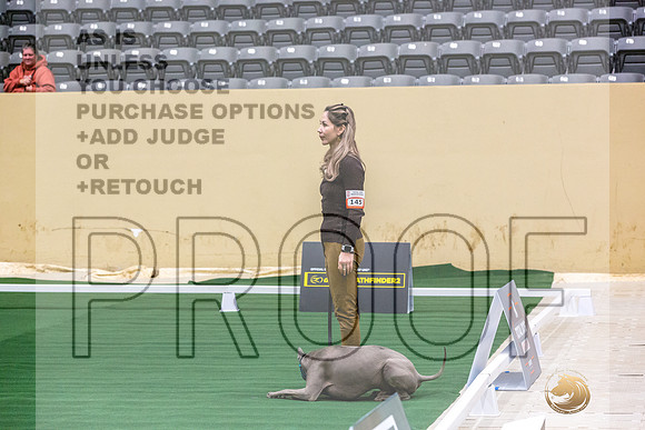 Thai Ridgeback #145 Thurs-JJL_2943_UKCTDI2023-HR3