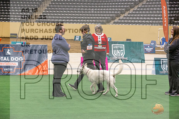 White Shepherd #163 Thurs-JJL_2379_UKCTDI2023-HR3