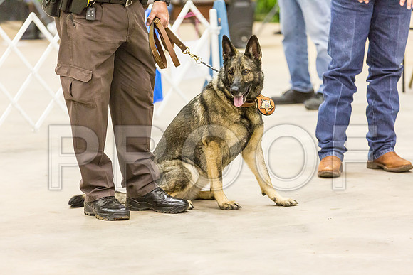 Sheriff K9 Check_JJJ_0954_Ablne2019-HR