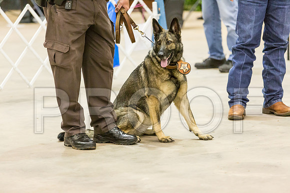 Sheriff K9 Check_JJJ_0955_Ablne2019-HR