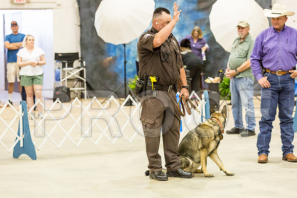 Sheriff K9 Check_JJJ_0956_Ablne2019-HR
