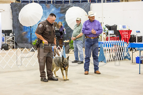 Sheriff K9 Check_JJJ_0958_Ablne2019-HR