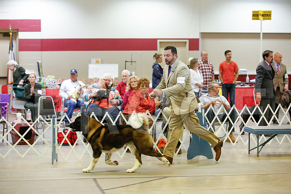_JJ_0307-AmarilloSept2014-HR3