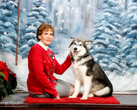 Alaskan Malamute Sun Custom Shari James