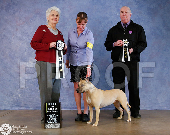 APBT-8056-Waco14-HR