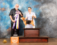 Beagle #212 Sun1 BIS Judge Matthew Proctor