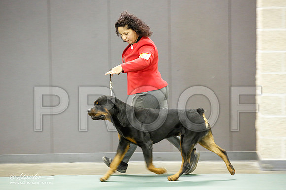 _JN_2131-BeltonJan2015-HR3