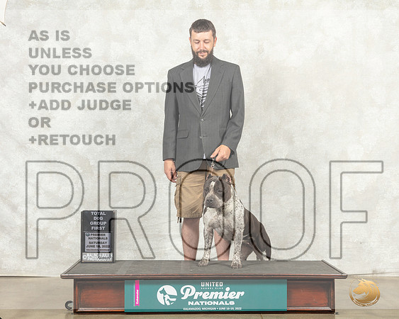 American Bully #1017 Sat TDG1 Judge Pam Perdue__MJ_8810_Premier_2022_HR3