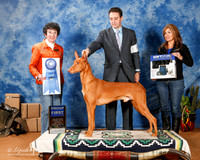 Pharoah Hound #5 Sun G1 email