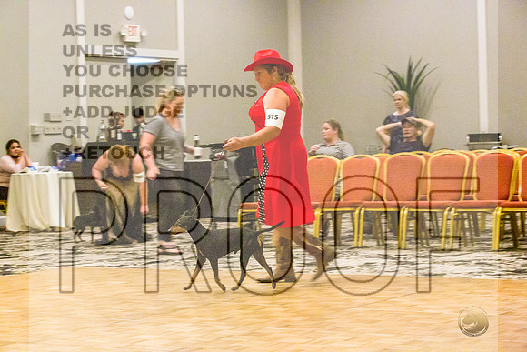 Manchester Terrier MTOY Candids-JJL_2232-Hstn2022_HR3